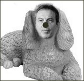 picture of Tony Blair as a poodle