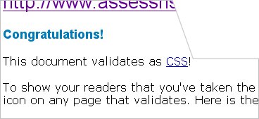 picture of css validated page