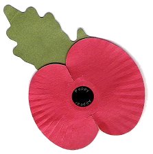 Picture of a poppy